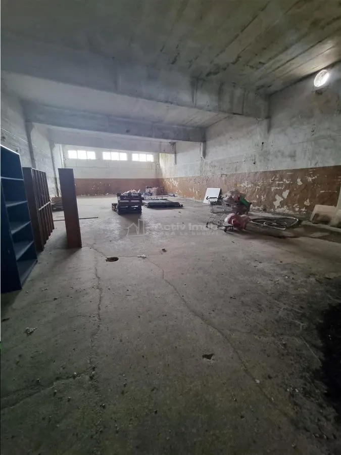 Hală productie  spatiu industrial  si birouri Alexandria - foto 3