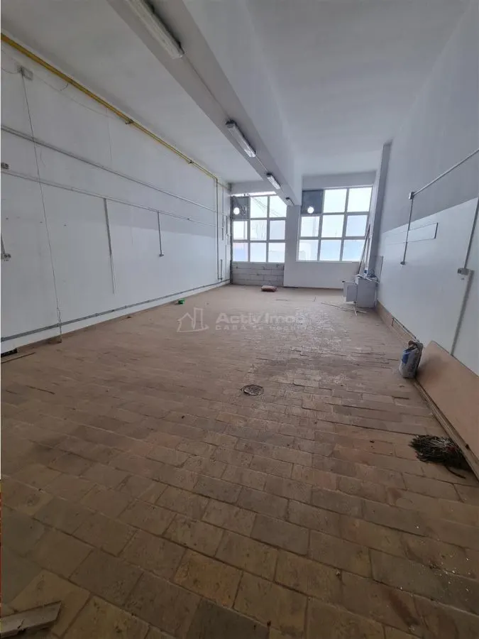 Hală productie  spatiu industrial  si birouri Alexandria - foto 4