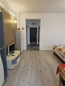 1 cam - zona Ared Uta - foto 4