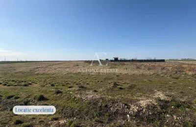 Antony Estate | Teren 500 mp pe Centura Nojorid, iesire din Grigorescu, ideal pentru investitie - foto 2