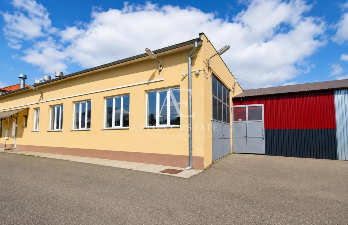 Antony Estate | Spatiu Comercial de inchiriat, Zona Ultracentrala, Oradea - foto 1