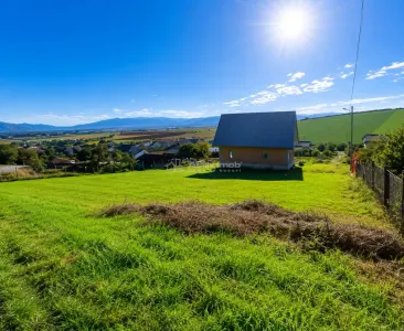 Teren intravilan in Sura Mare de vanzare - foto 3