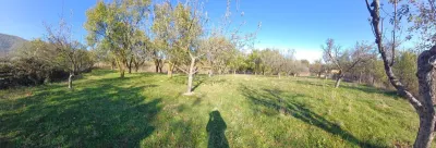 Teren de vanzare cu toate utilitatile la poarta - foto 5