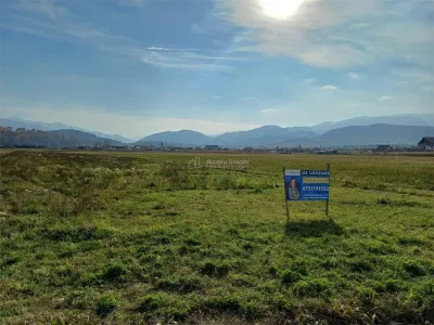 Teren de vanzare pentru constructii case 1 hectar - foto 2