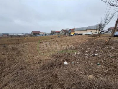 Teren intravilan 536 mp, deschidere 25 ml,  zona Luizi Calugara-Osebiti - foto 2
