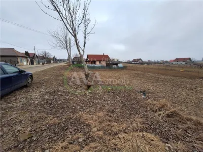 Teren intravilan 536 mp, deschidere 25 ml,  zona Luizi Calugara-Osebiti - foto 5
