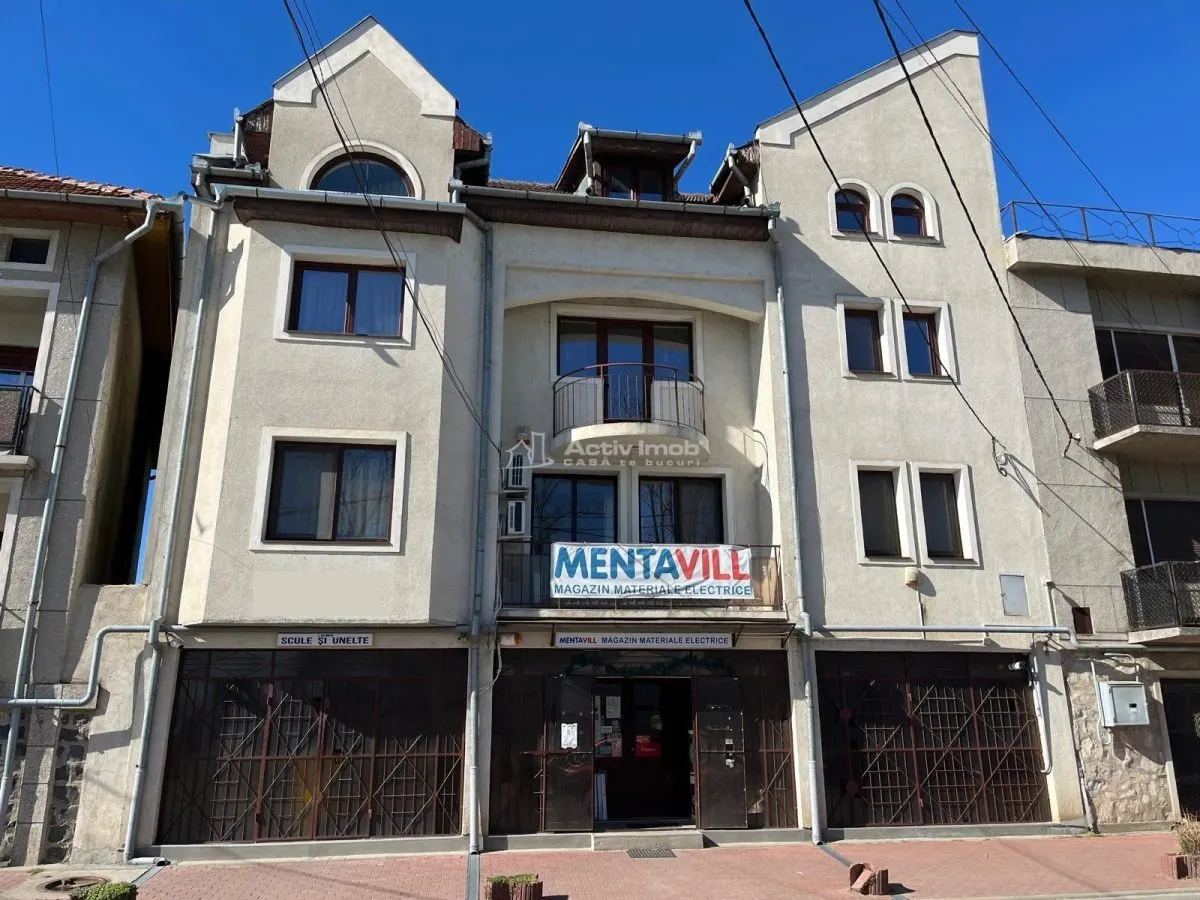 Lugoj,  Vila P+2E+M ,  656 Mp., Construiti, Posibilitate De Investitie, Zona 0 - foto 2