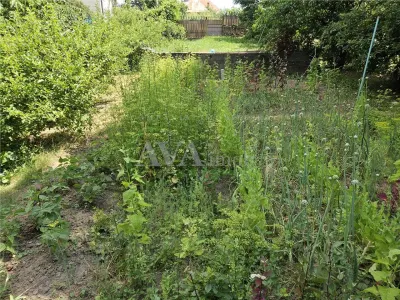 Casa spatioasa de vanzare in centrul satului Racaciuni – teren generos, livada, anexe - foto 11