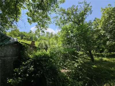Casa spatioasa de vanzare in centrul satului Racaciuni – teren generos, livada, anexe - foto 13