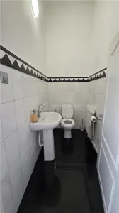 Casa boiereasca, eleganta,piscina, mobilata, teren 613 mp - Agronomie - foto 15