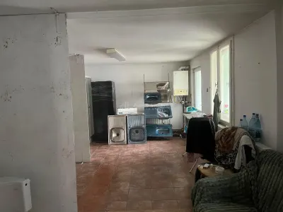 Caransebes, Chirie, Spatiu Comercial/Birouri - foto 6