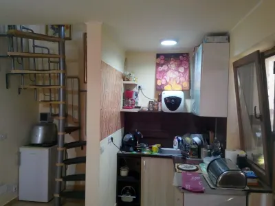 Casa pe malul lacului Paleu – teren 510 mp -  priveliste  deosebita - foto 7