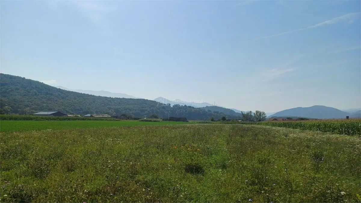 Teren intravilan 2500 mp  de vanzare - foto 3