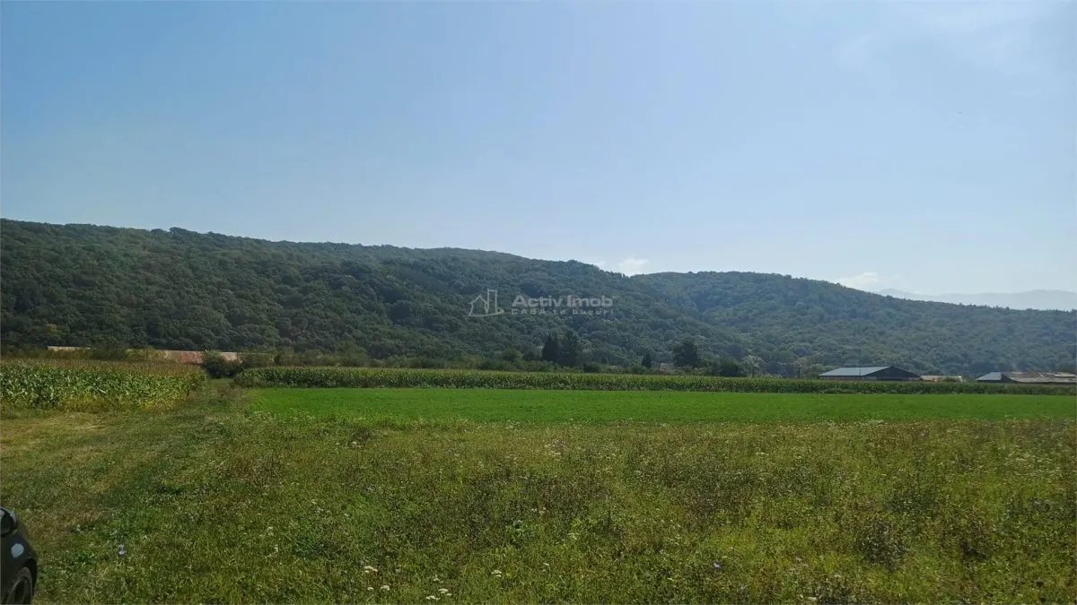 Teren intravilan 2500 mp  de vanzare - foto 4