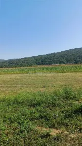 Teren intravilan 2500 mp  de vanzare - foto 5