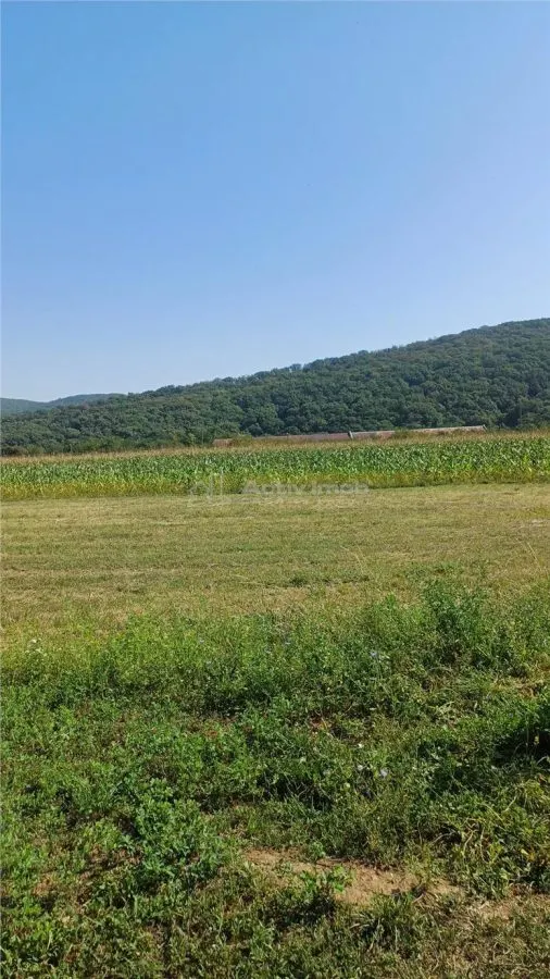 Teren intravilan 2500 mp  de vanzare - foto 5