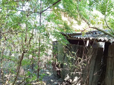 Iam, Casa 5 Camere, Gospodarie, 1439mp Teren, Usor Negociabil - foto 11