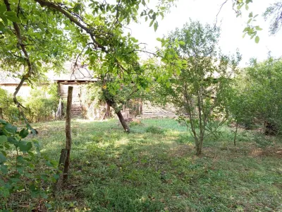 Ciuchici, Casa 7 Incaperi, 1151mp Teren, Pret Negociabil, ZERO COMISION - foto 10