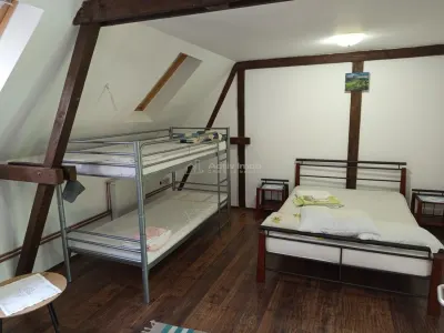 Ilidia, Afacere la Cheie, Pensiune Turistica, ZERO Comision - foto 14