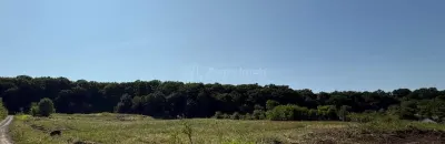 Teren 1000 mp de vanzare la Liziera Padurii - foto 5