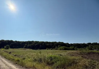 Teren 1000 mp de vanzare la Liziera Padurii - foto 6