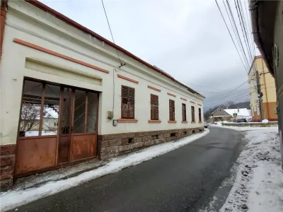 Oravita, Casa cu Spatiu Comercial, 784mp, ZERO COMISION - foto 2
