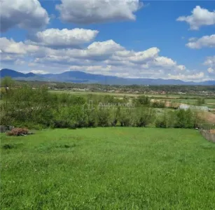 Vanzare Teren Intravilan 1272 mp Coltau zona buna - Baia Mare