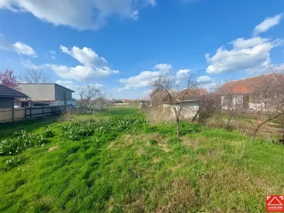 Casa cu teren de 3.500 mp in Santana! Ideal pentru proiect rezidential! - foto 16