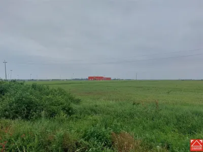 Teren extravilan sos. Arad - Sofronea - foto 4