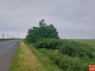 Teren extravilan sos. Arad - Sofronea - foto 5