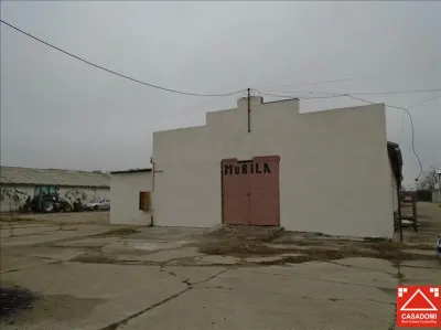 Hala de depozitare, Aradul Nou - foto 2