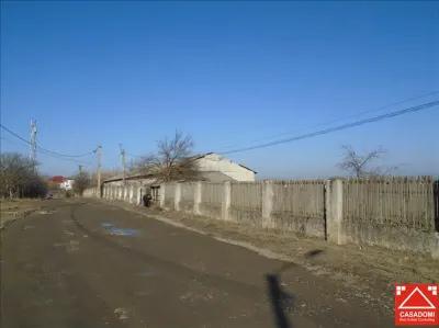 Teren pentru afacere, Aradul Nou - foto 3