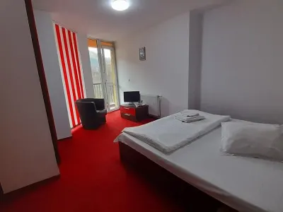 Vila de LUX de vanzare in SINAIA - foto 16