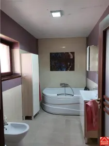 Casa spatioasa in Livada! - foto 13