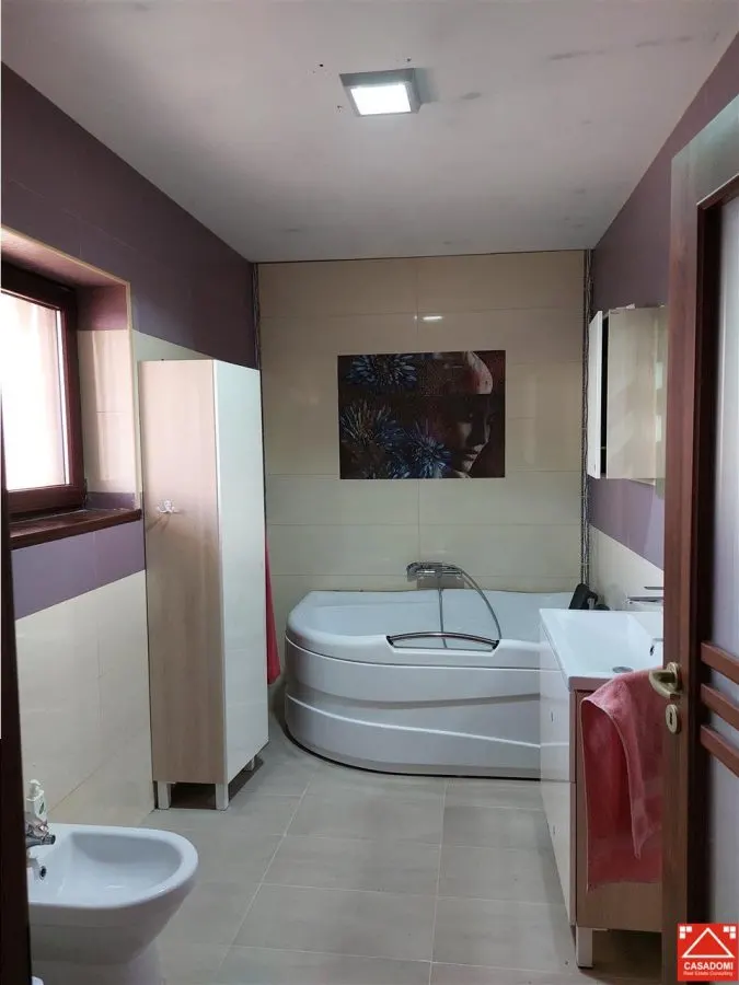 Casa spatioasa in Livada! - foto 13