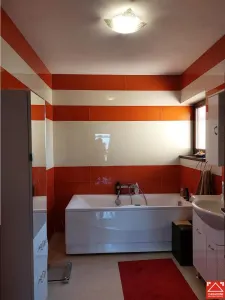 Casa spatioasa in Livada! - foto 15