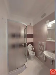 Casa cu 13 camere, pentru activitati diverse, in Micalaca - foto 14