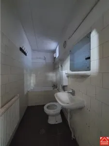 Casa P+M cu anexe in Vladimirescu - foto 13