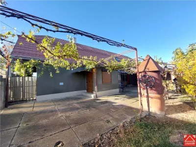 Casa P+M cu anexe in Vladimirescu - foto 18
