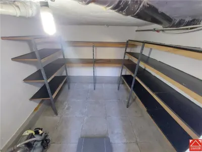 Casa P+M cu anexe in Vladimirescu - foto 23