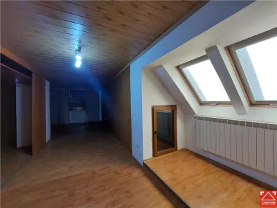 Casa P+M cu anexe in Vladimirescu - foto 7