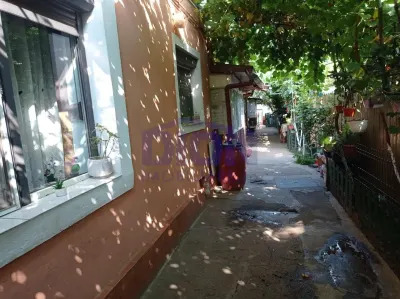 SA NE MUTAM LA CASA - Bucuresti