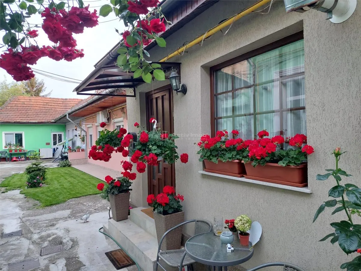 Refugiu urban cu personalitate – Casa cu mansarda si crama amenajata -  zona centrala - foto 2