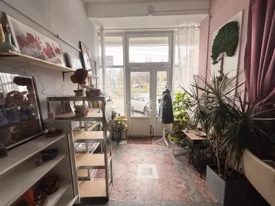 Spatiu Comercial cu vitrina Bulevardul Dacia - foto 11