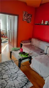 Casa de inchiriat in Centru - Str. Padurii - foto 7