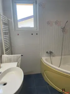 Vila individuala Pipera / Stefan cel Mare - foto 11
