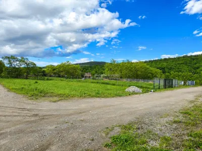 Teren deschidere la 2 strazi langa padure - foto 4