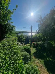 Casa de vacanta Alexandria -La Izvorul Rece - foto 2