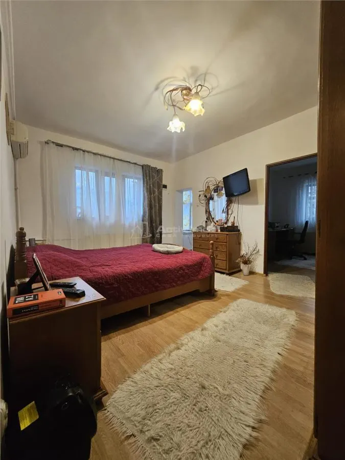 Vanzare Vila Unirii- Nerva Traian - foto 11