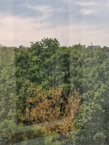 2 camere - decomandat - str. Pridvorului - Parcul Tineretului – Lumea Copiilor - foto 25